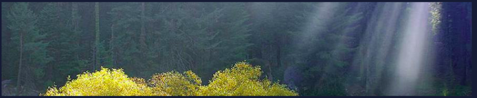 cropped-Screen-Shot-2015-04-22-at-11.39.11-AM1.png