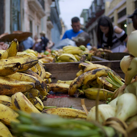 Havana Street Level feature