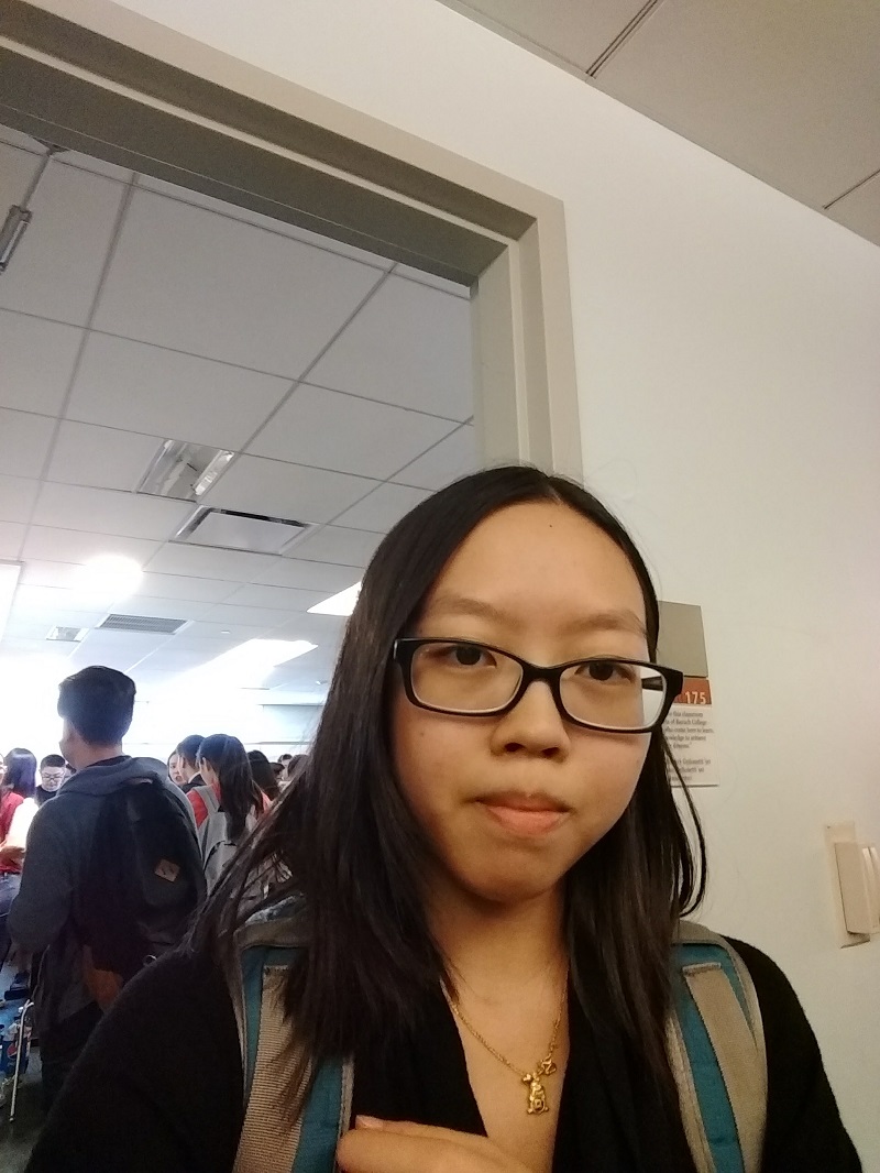 My UCLA Meeting Experience